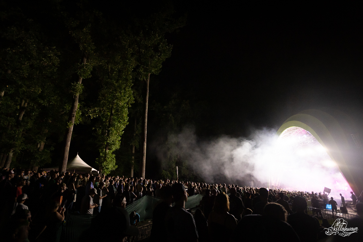 Goose | The Chrysalis at Merriweather Park