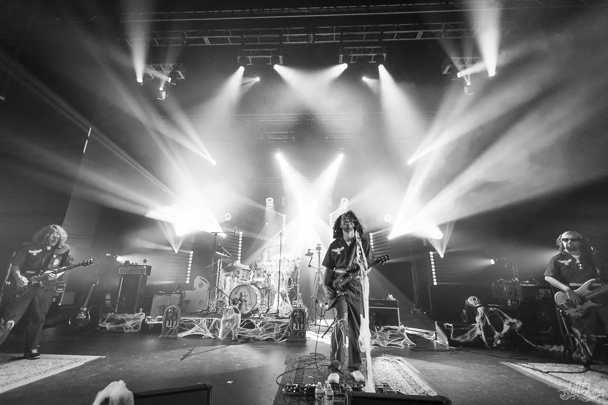 Pigeons Playing Ping Pong | College Street Music Hall