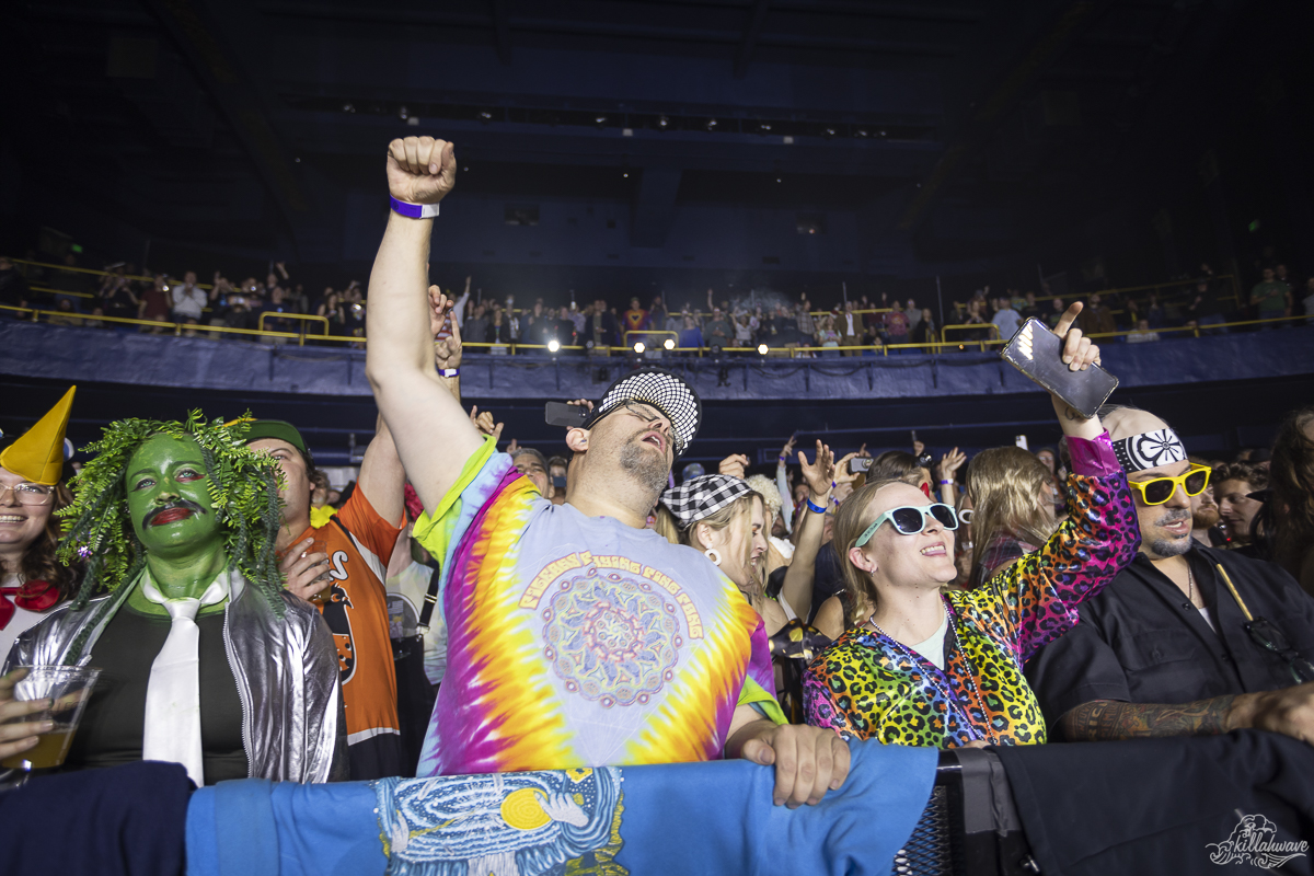 Fans loved this rocking show | Pigeons Playing Ping Pong