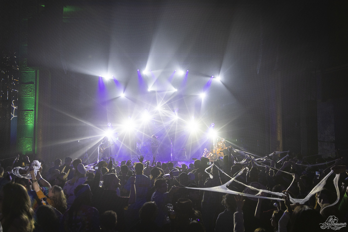 Fans spread a spider web during "Borris The Spider" | New Haven, CT