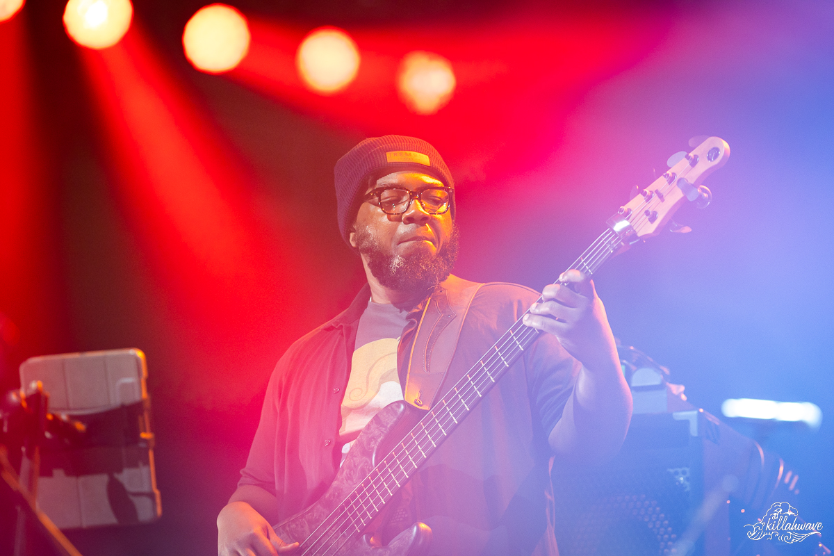 Bassist Dezron Douglas | Trey Anastasio Band