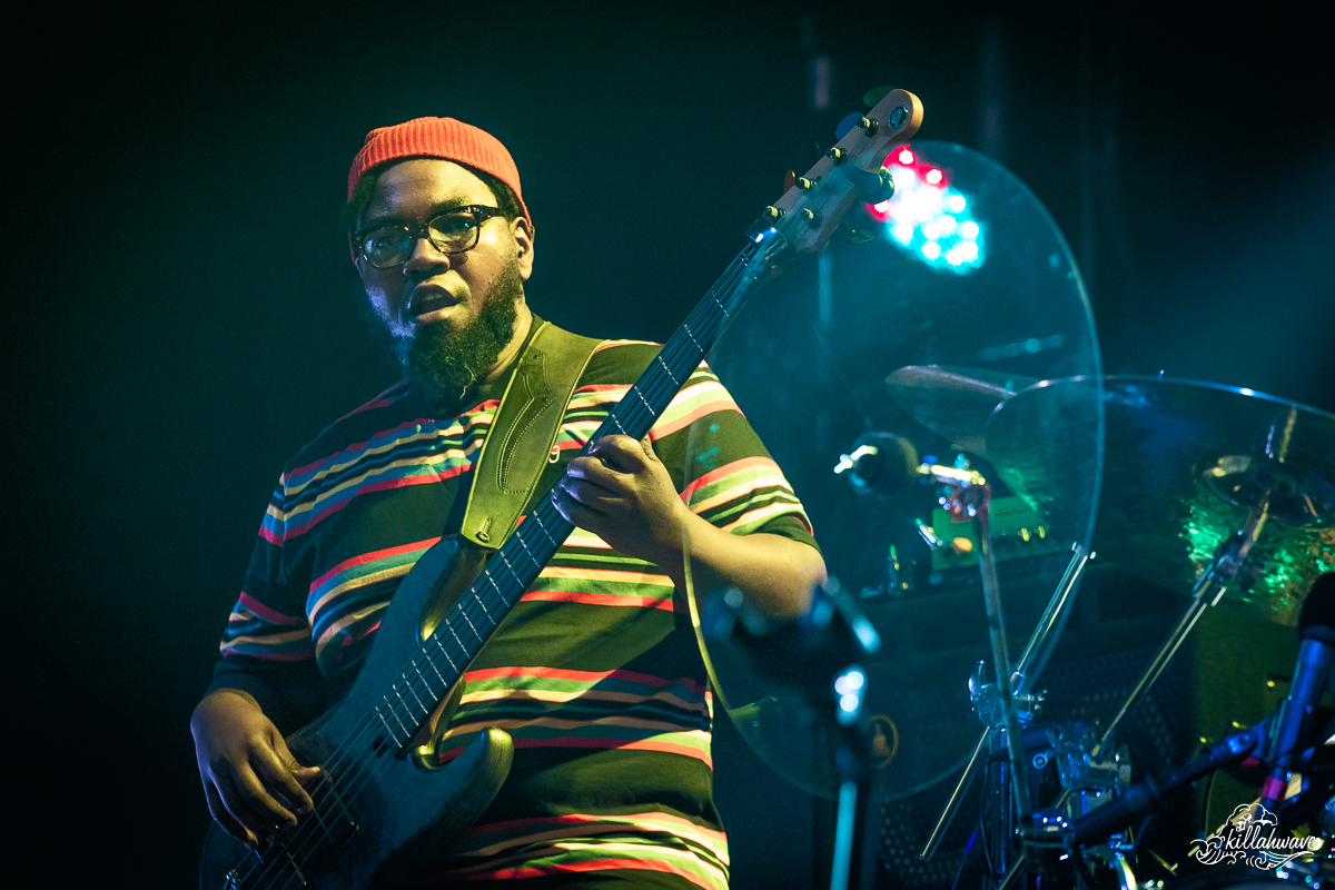 Bassist Dezron Douglas | Trey Anastasio Band