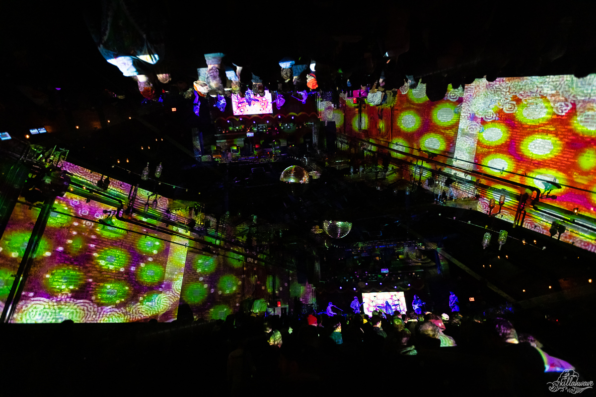 Visuals by Macro Dose NYC | Brooklyn Bowl