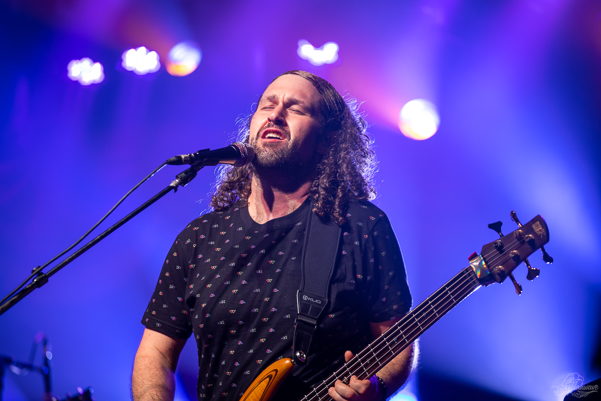 Bassist Ben Carrey | Pigeons Playing Ping Pong