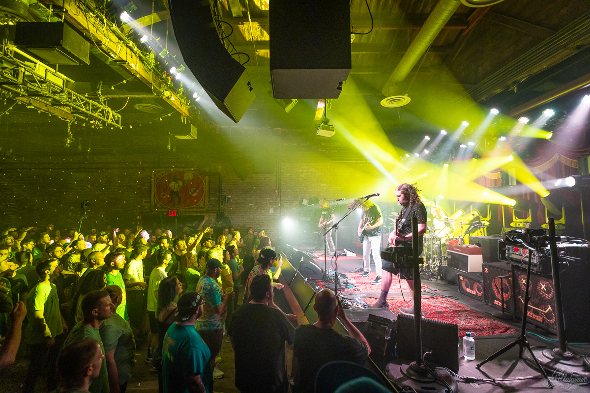 Pigeons Playing Ping Pong | Brooklyn Bowl