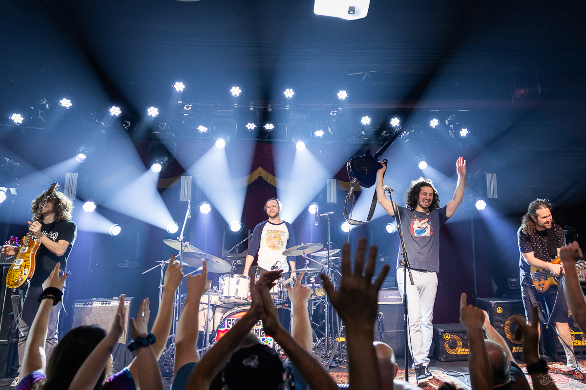 Pigeons Playing Ping Pong | Brooklyn Bowl