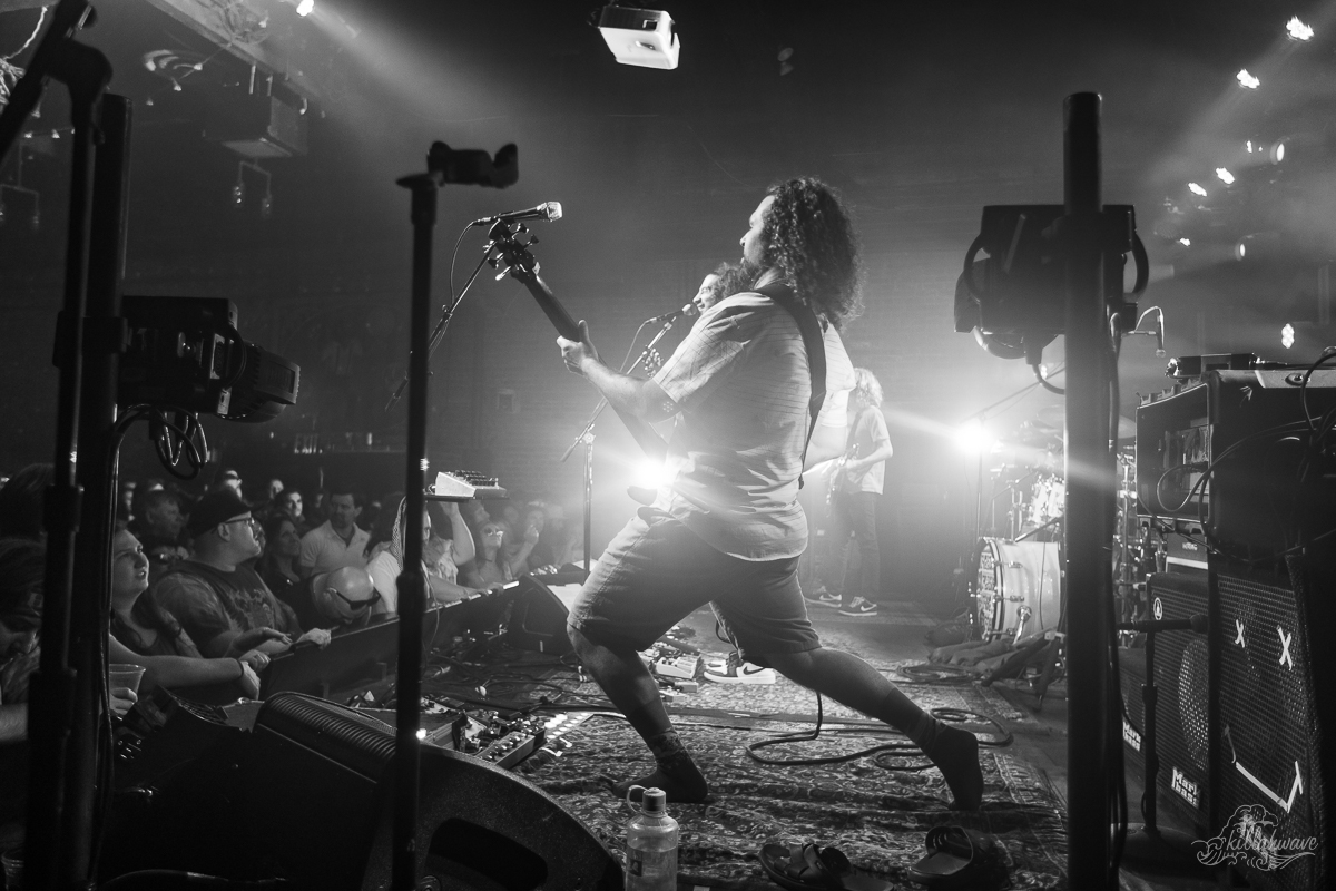 Pigeons Playing Ping Pong | Brooklyn Bowl