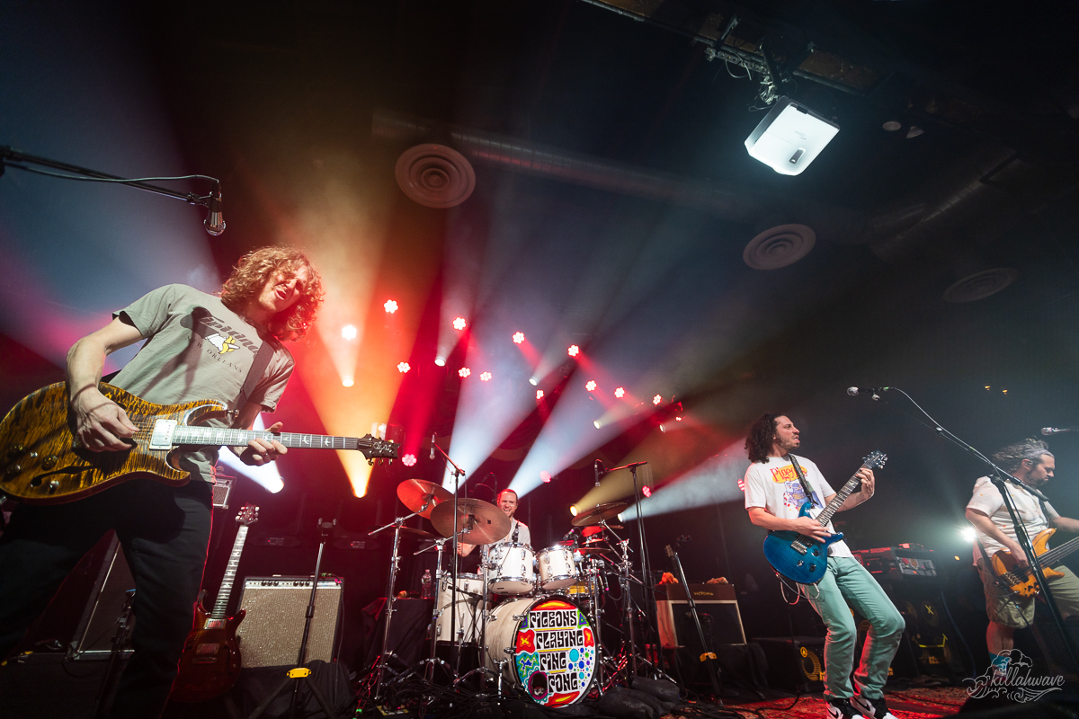 Pigeons Playing Ping Pong | Brooklyn Bowl