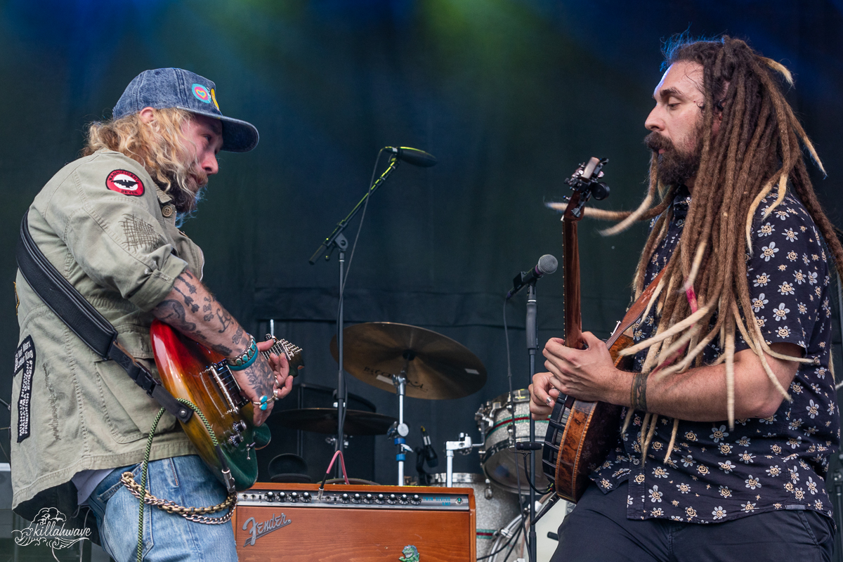 Mihali Savoulidis sat in with the Kitchen Dwellers | Northlands