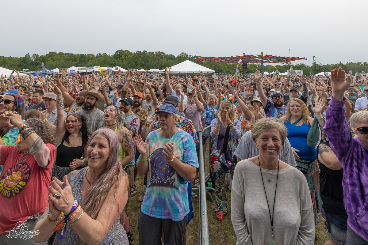 Fans were loving the music | Northlands