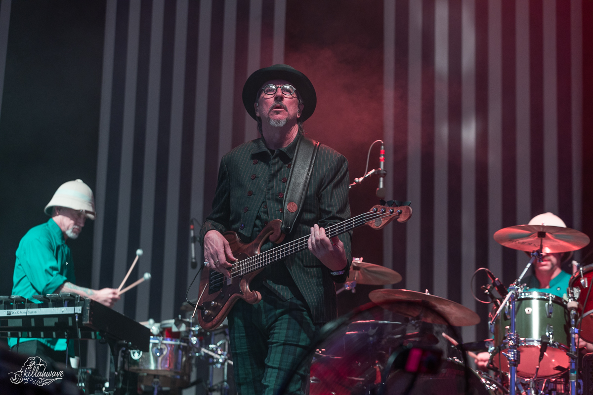 Bassist Les Claypool | Les Claypool's Fearless Flying Frog Brigade