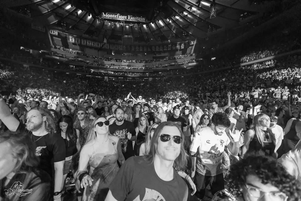 Phish | Madison Square Garden 