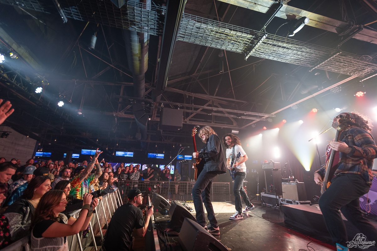 Pigeons Playing Ping Pong | Brooklyn Bowl Philly