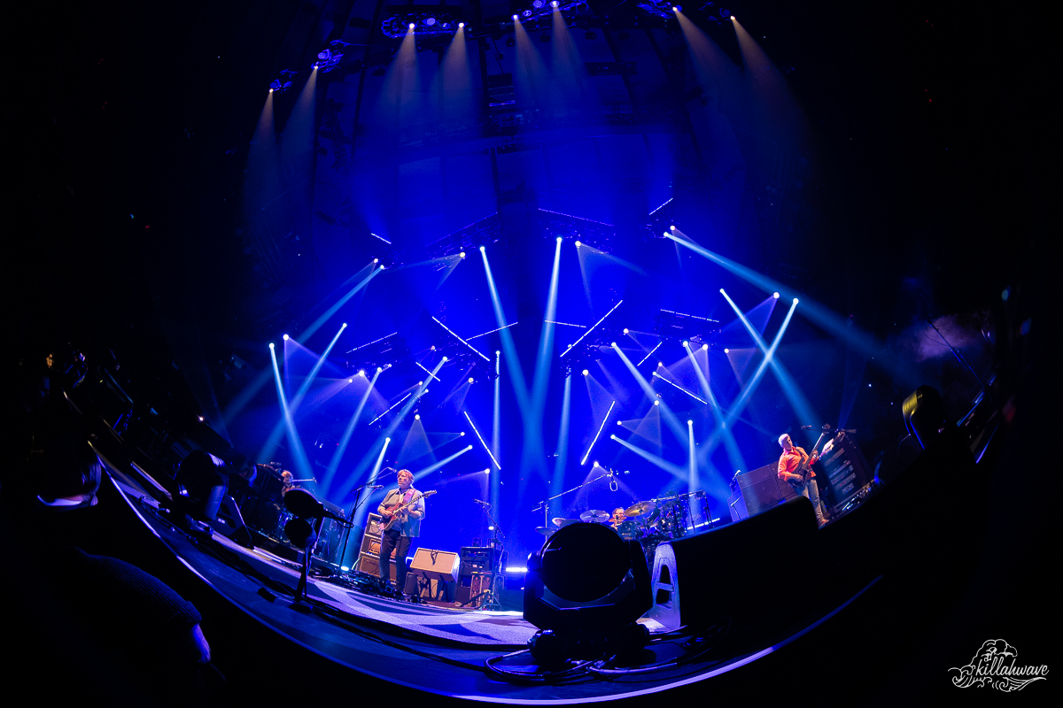 Phish | Madison Square Garden