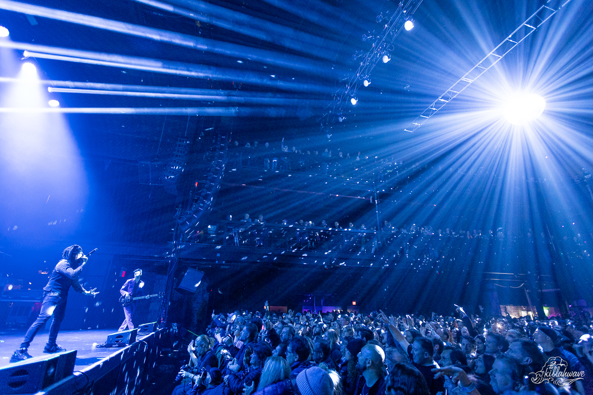 Thievery Corporation | Terminal 5