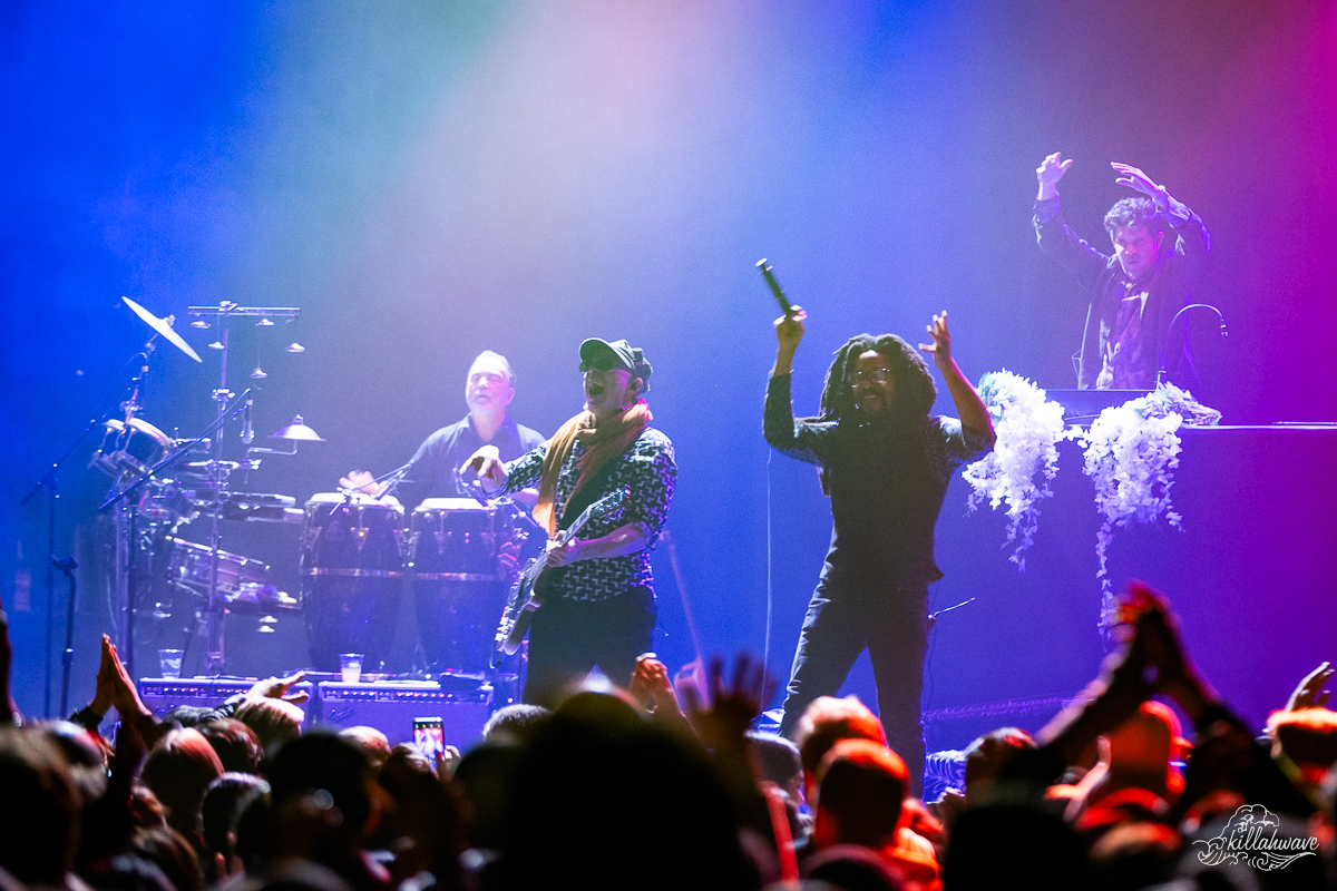 Thievery Corporation | Terminal 5