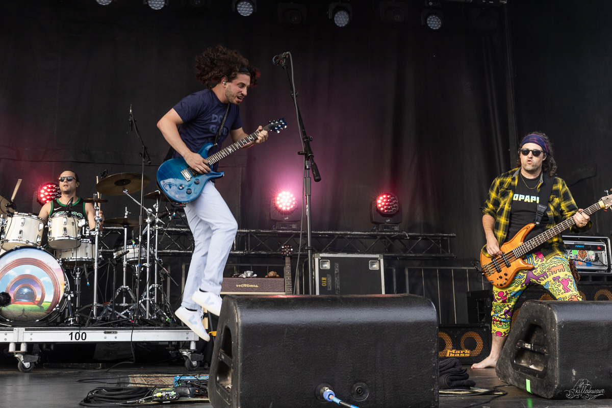 Pigeons in flight | Northlands Music and Arts Festival