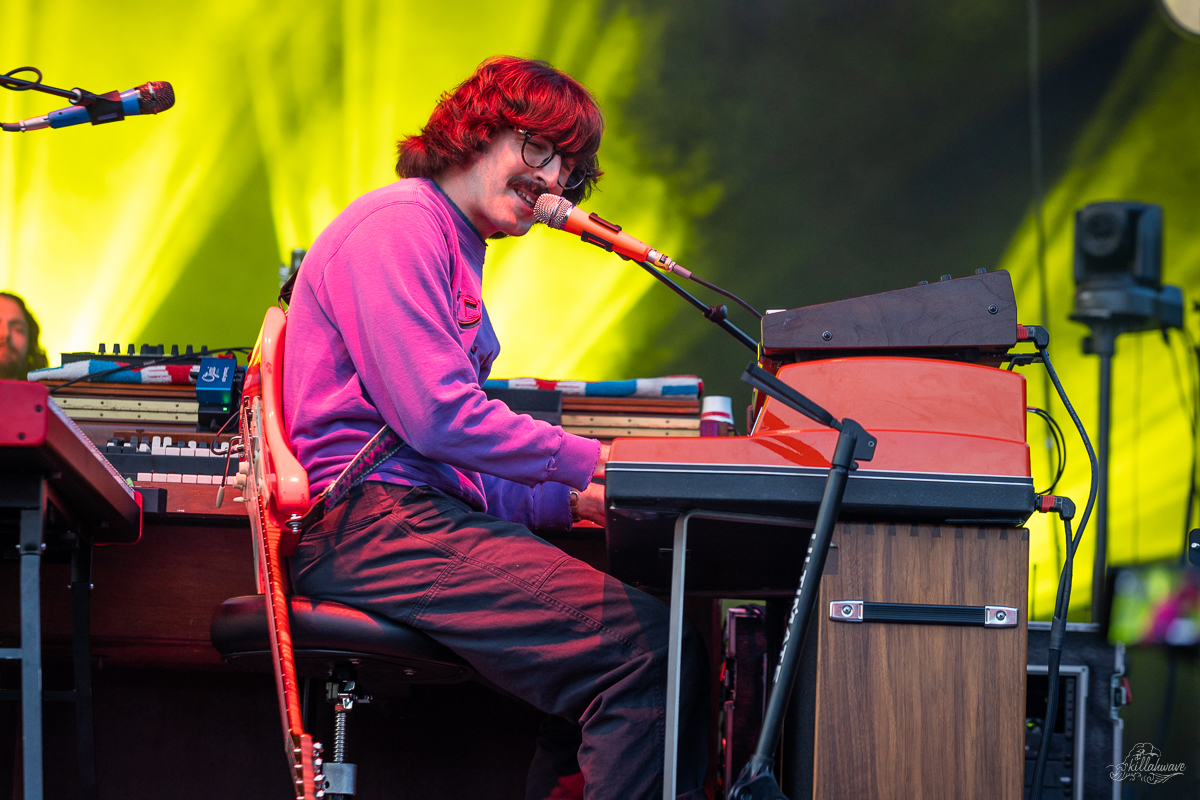 Multi-instrumentalist Peter Anspach | Goose