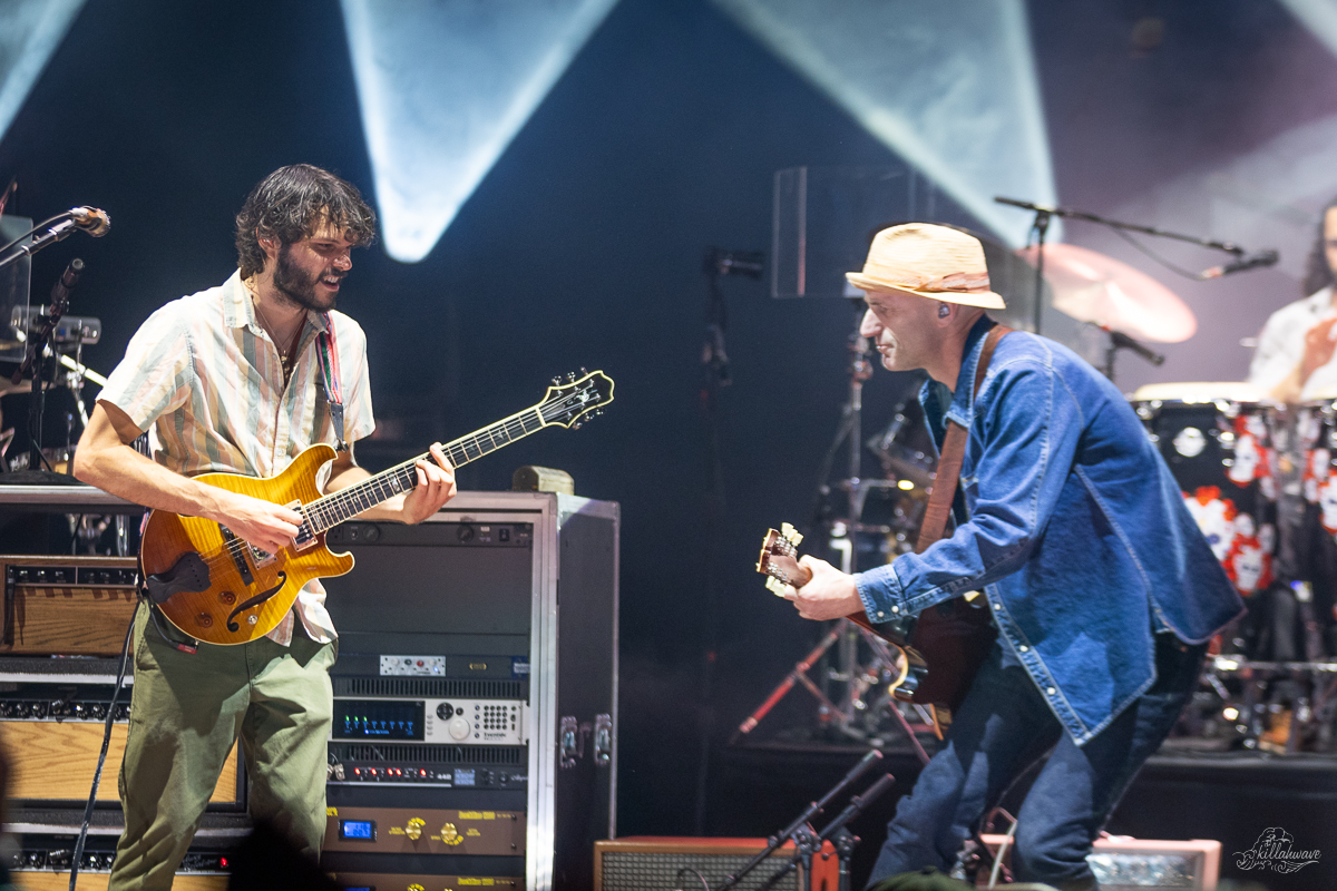 Goose | The Mann Center