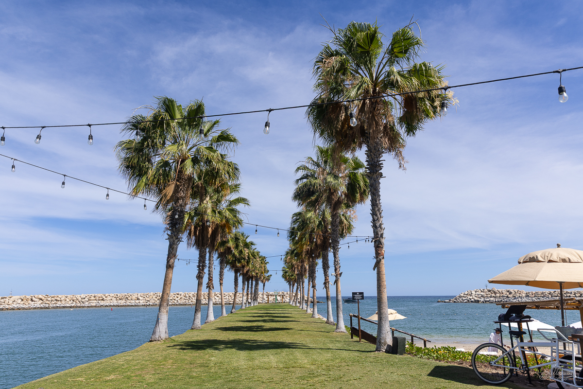 The El Ganzo Hotel Beach Club | San Juan Del Cabo, Mexico