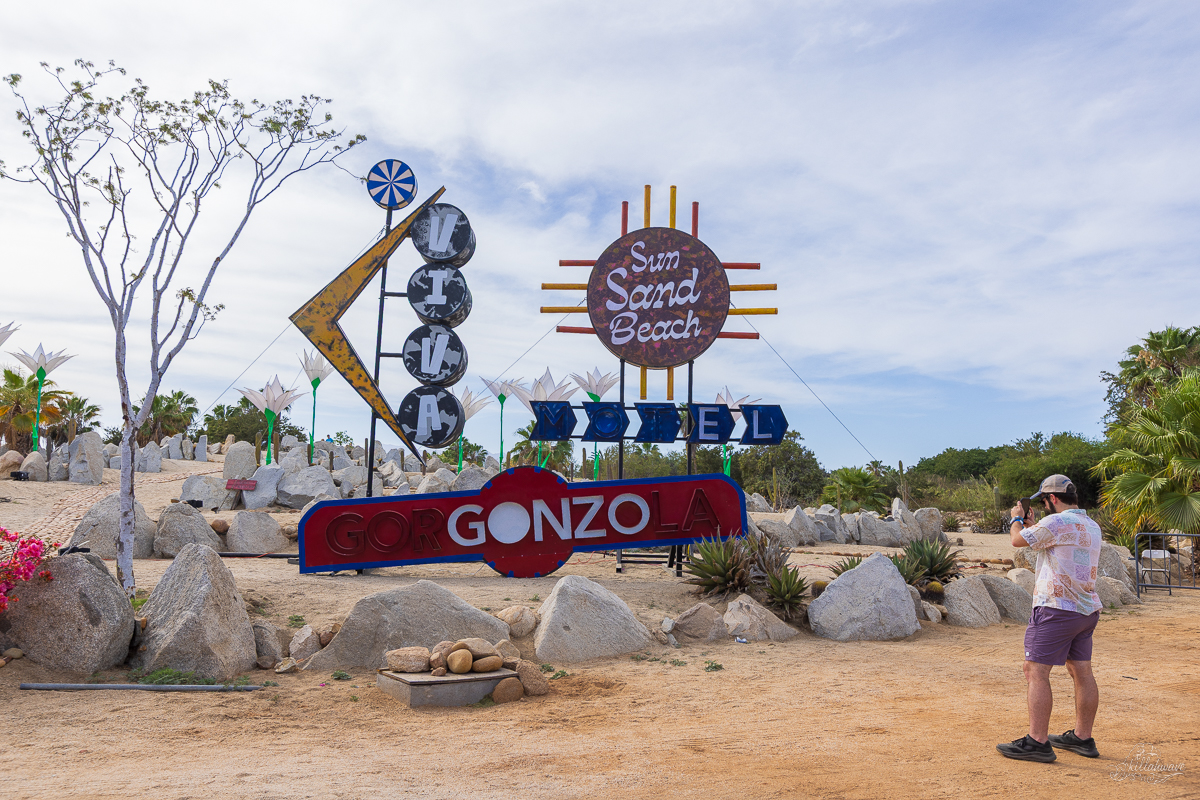 Viva El Gonzo | San Juan Del Cabo, Mexico