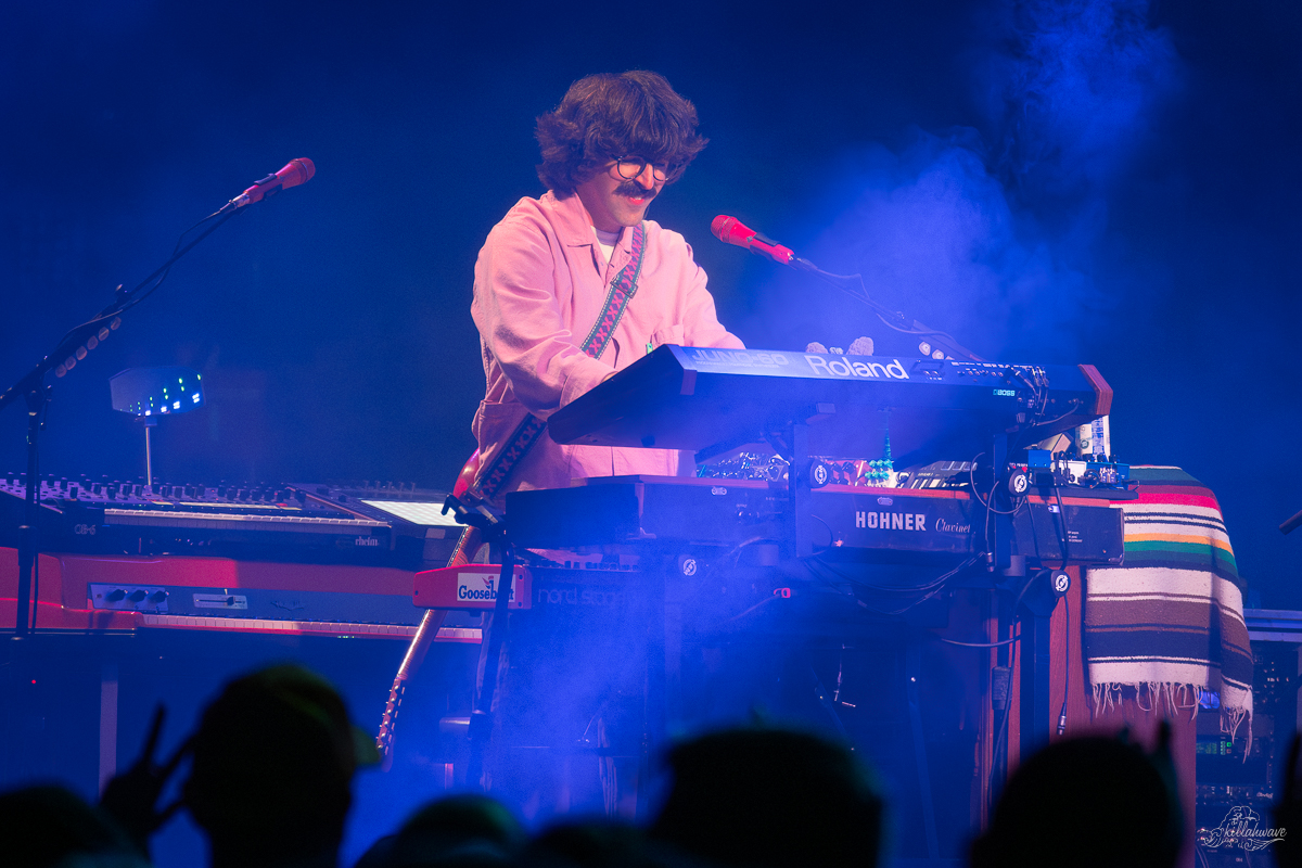 Multi-instrumentalist Peter Anspach | Goose