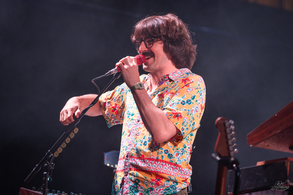 Multi-instrumentalist Peter Anspach | Goose