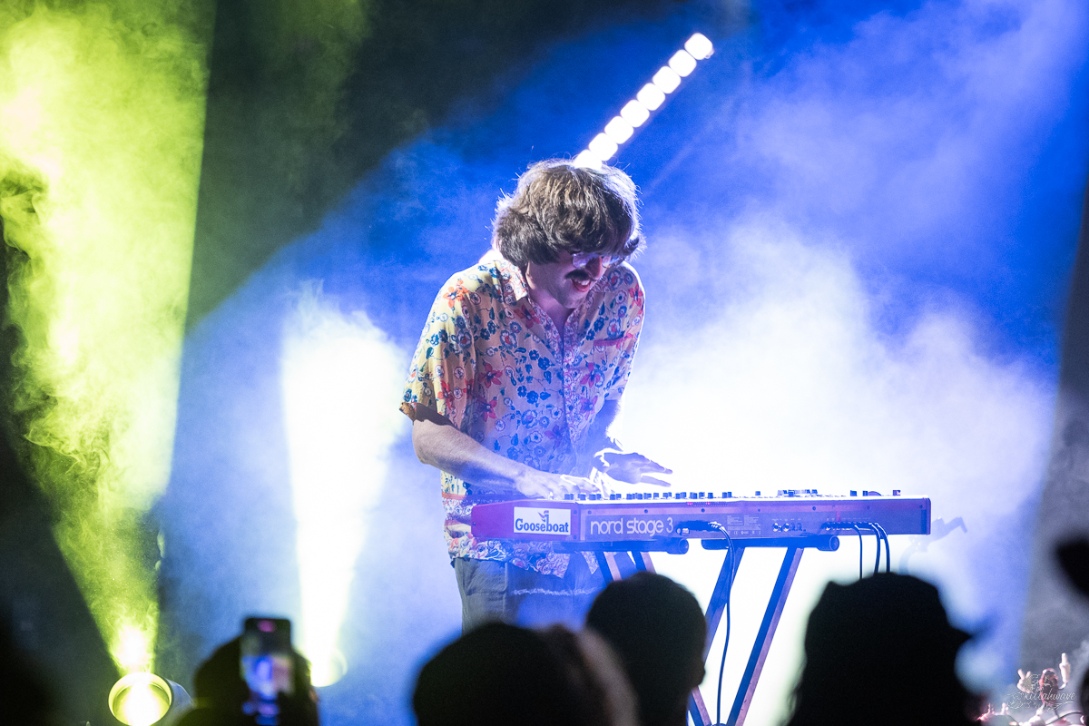 Peter Anspach sat in with Pigeons Playing Ping Pong | Viva El Gonzo