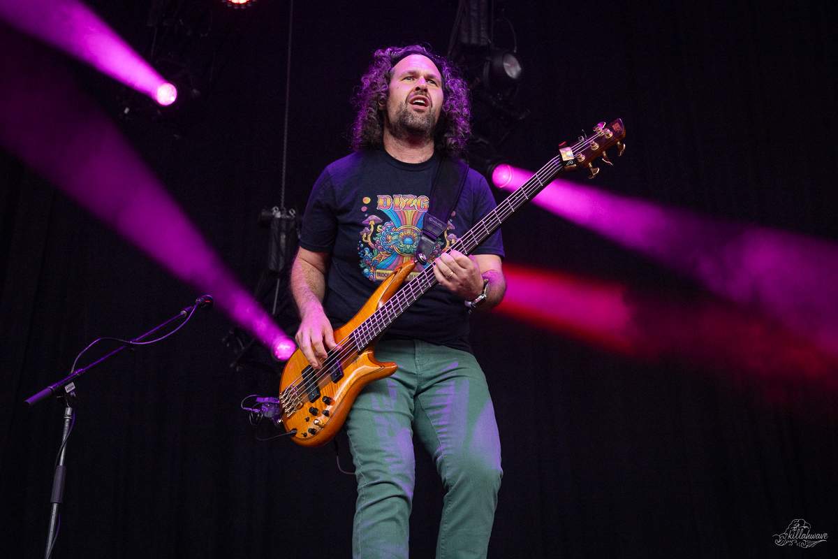 Bassist Ben Carrey | Pigeons Playing Ping Pong