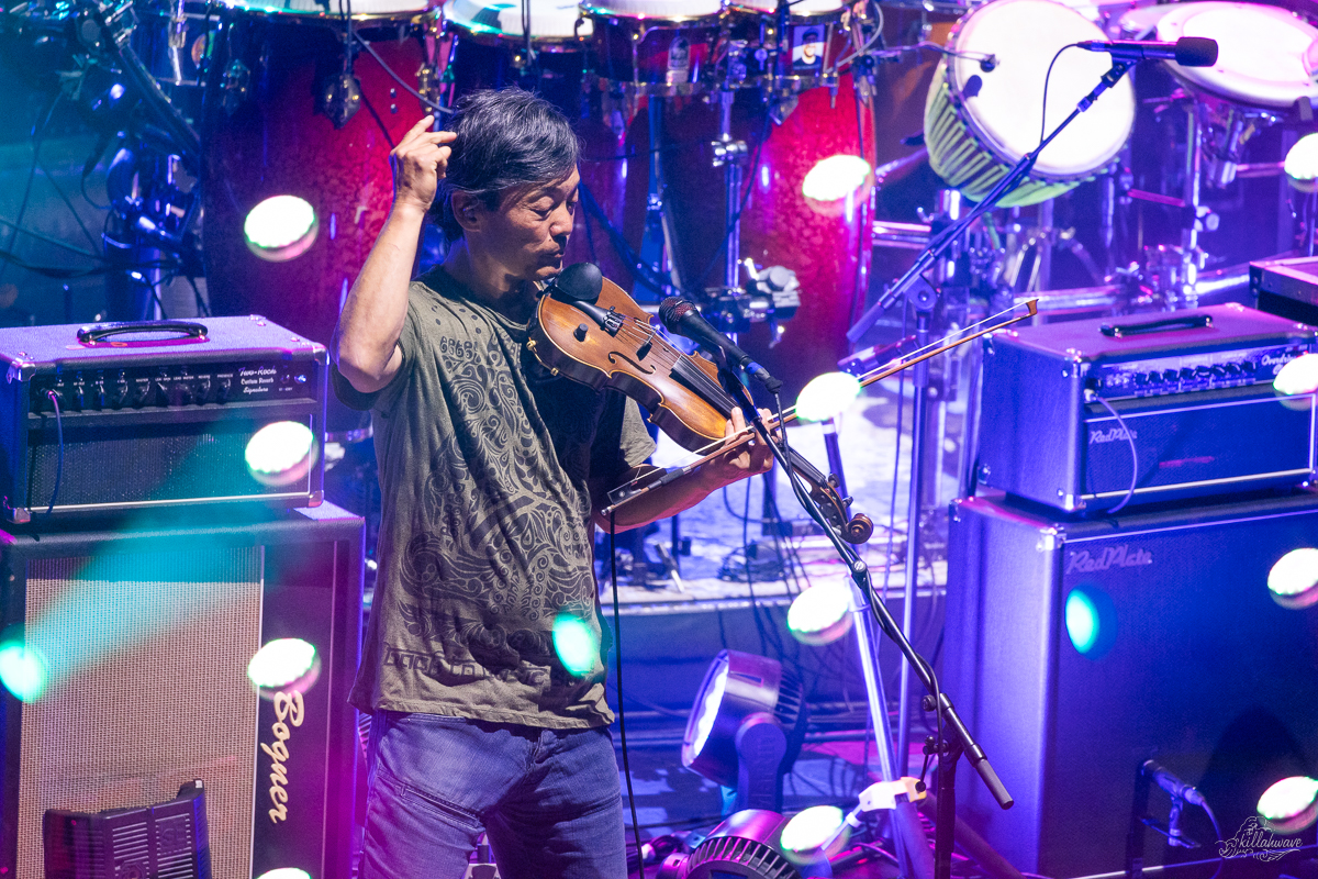 Multi-instrumentalist Michael Kang | The String Cheese Incident