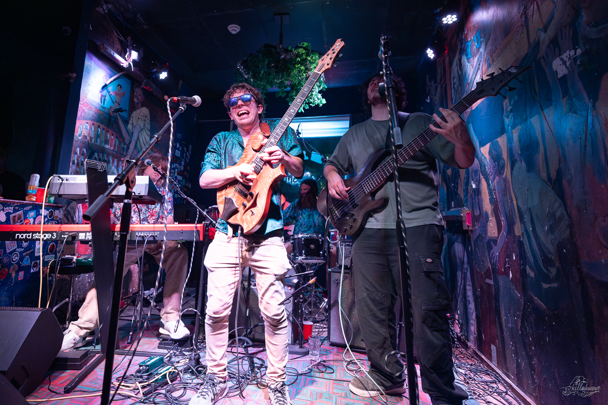 Big Shrimp | Stella Blues