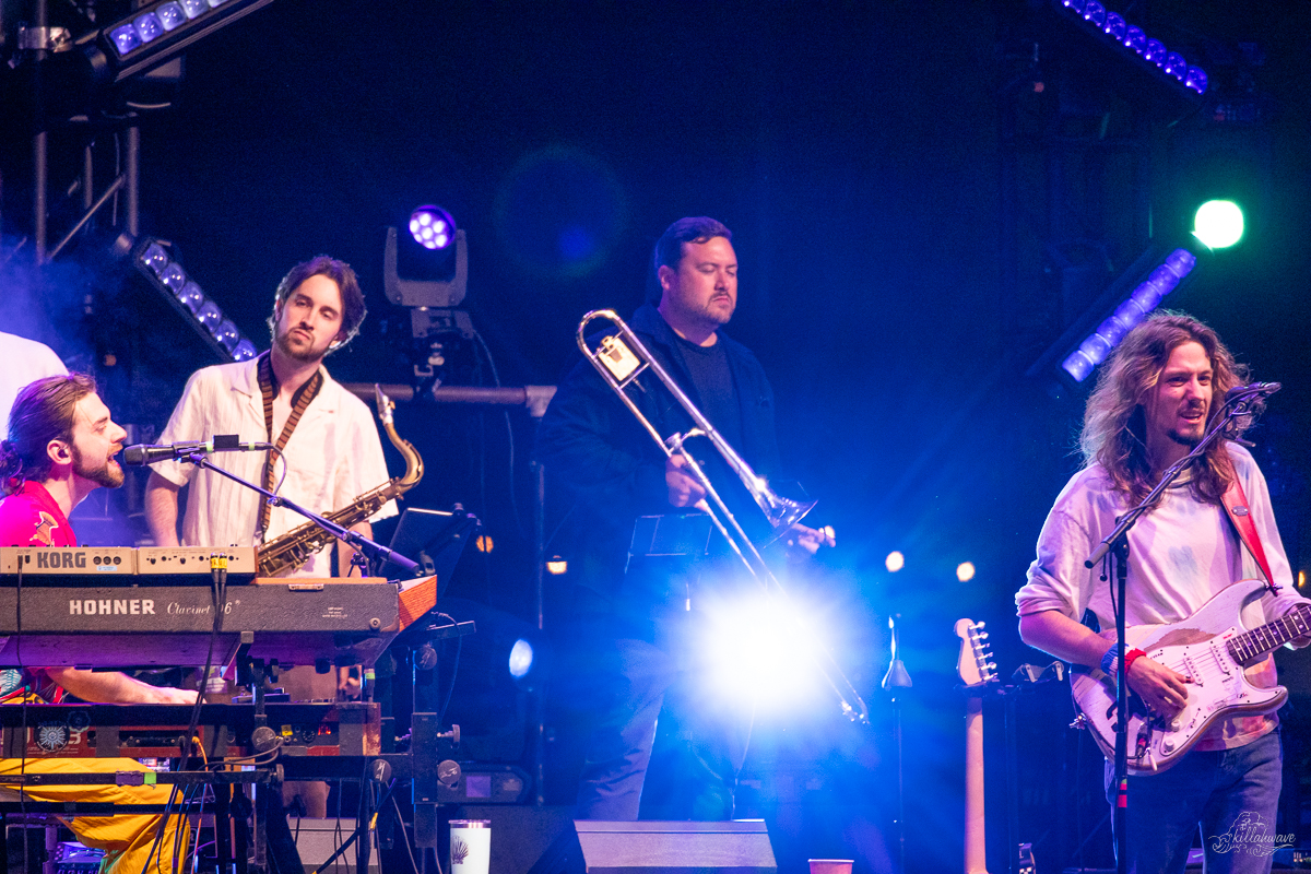 Dogs in a Pile | Stone Pony Summer Stage