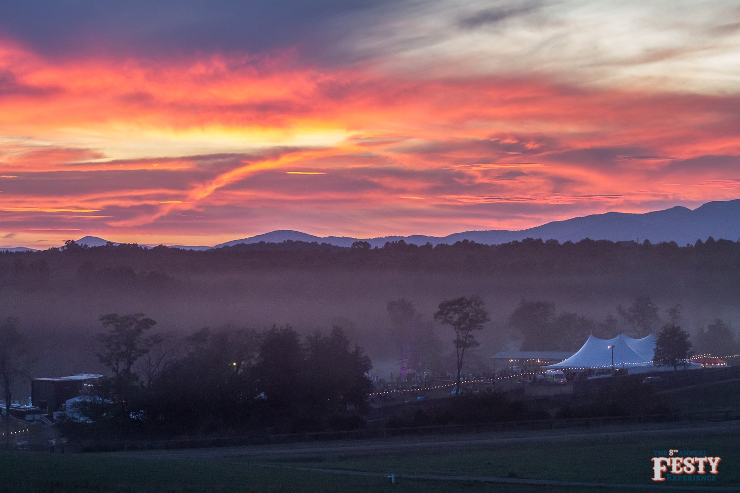 The Festy Experience | photo by Camden Littleton