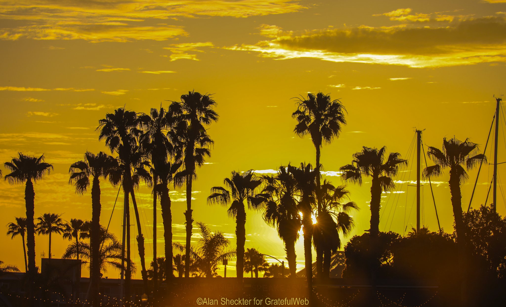 Beachlife Festival | Redondo Beach, California