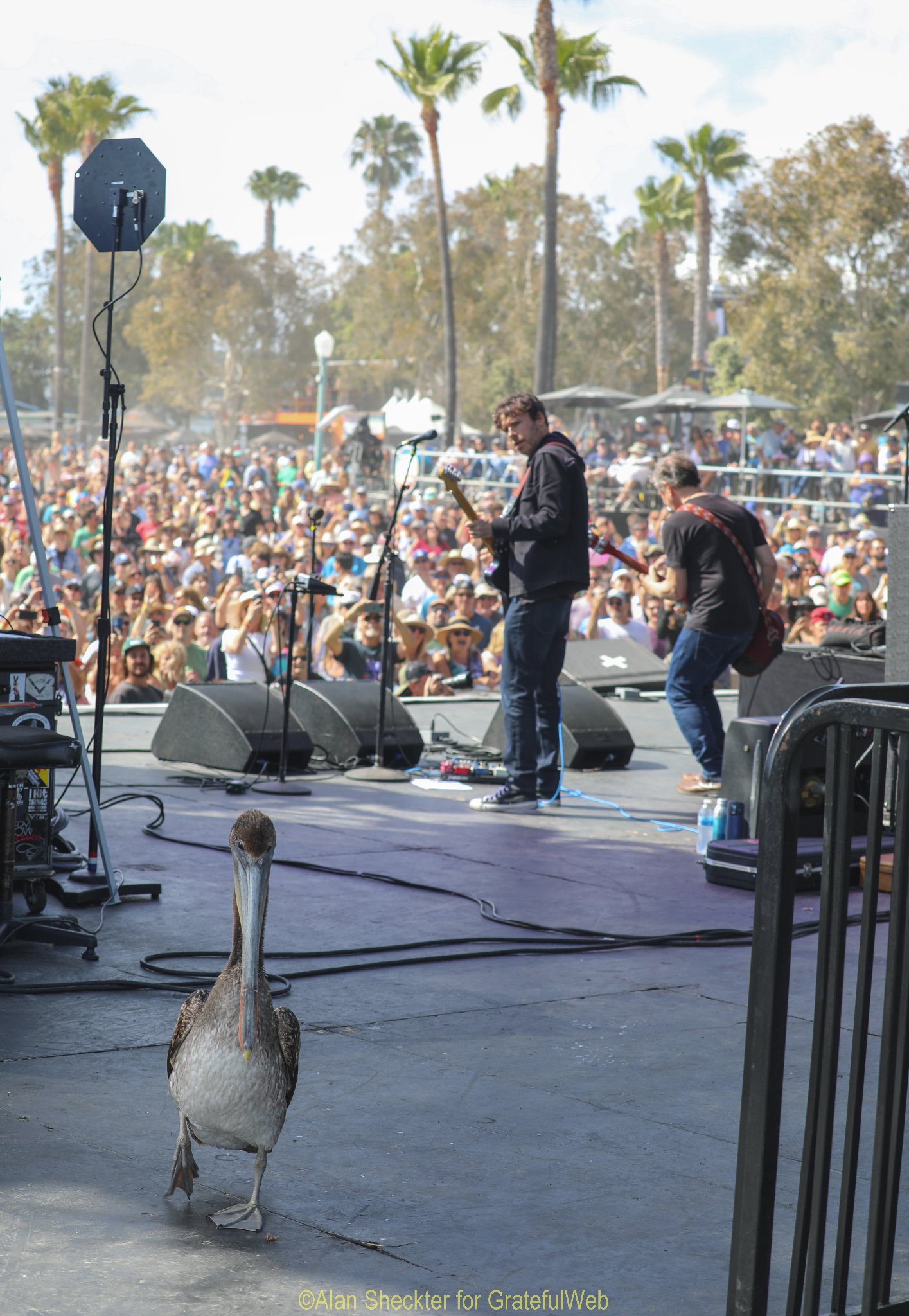 JRAD's special guest on stage - Beachlife Festival 2022