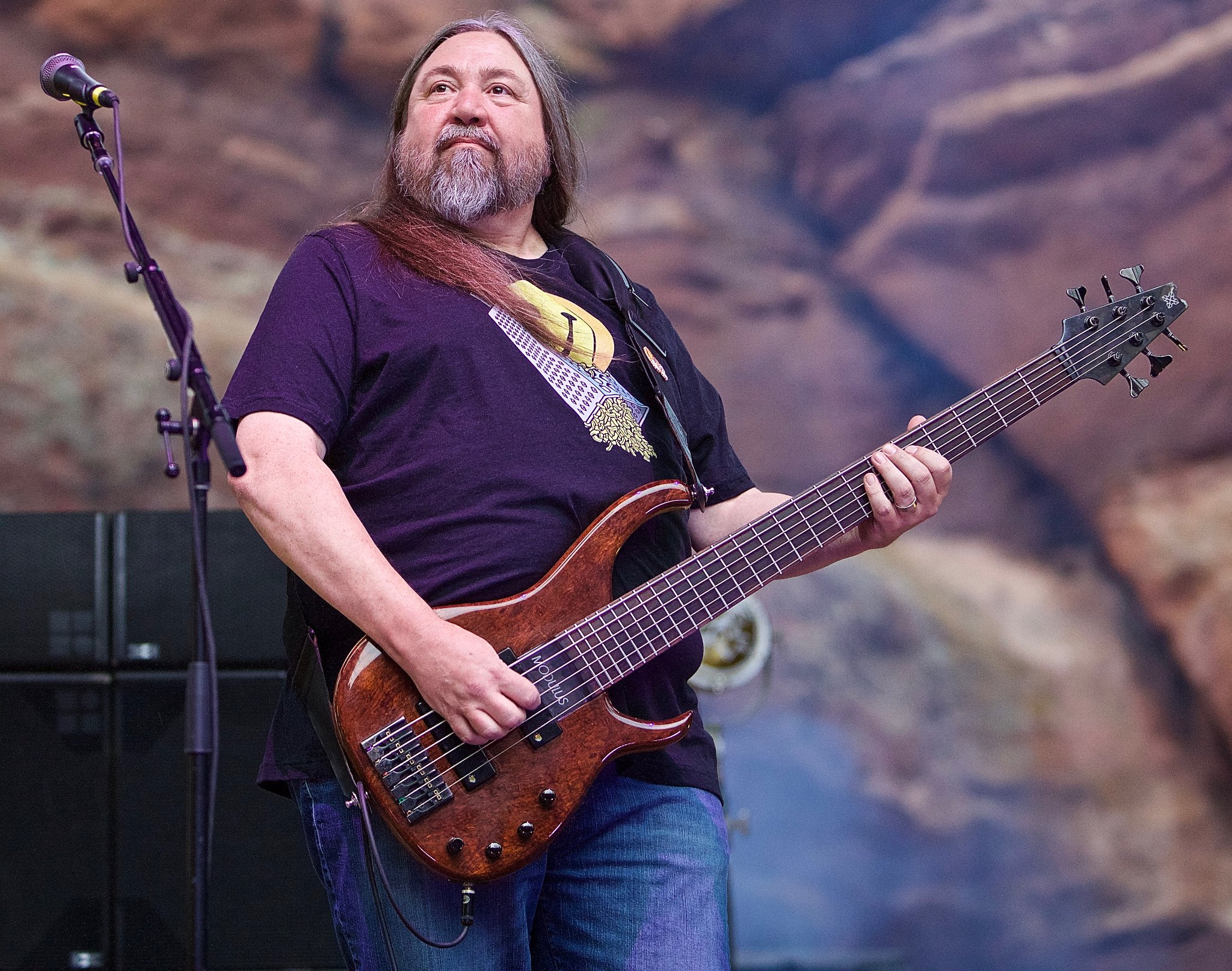 Dave Schools | Widespread Panic