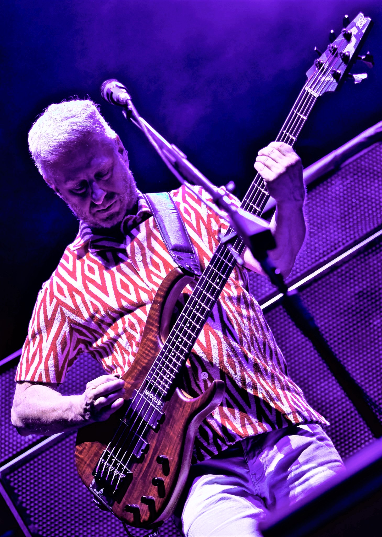 Mike Gordon | Phish