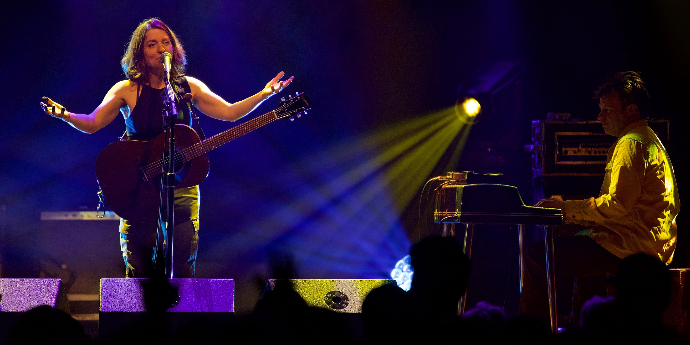 Ani DiFranco & Todd Sickafoose | Fort Collins, CO