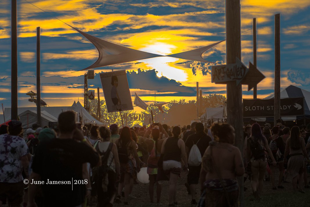 Until next year... Summer Camp Music Festival