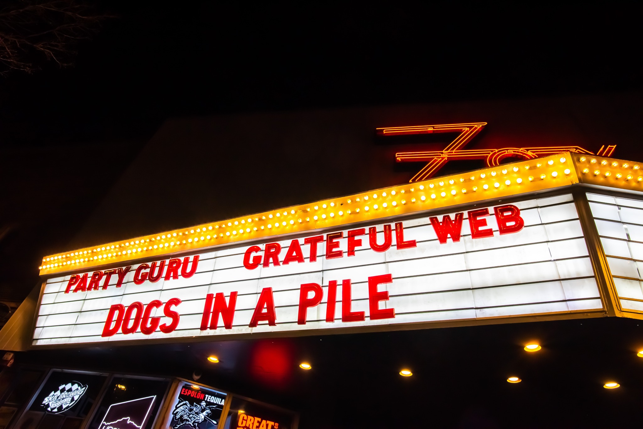 Dogs In A Pile | Fox Theatre - Boulder, CO