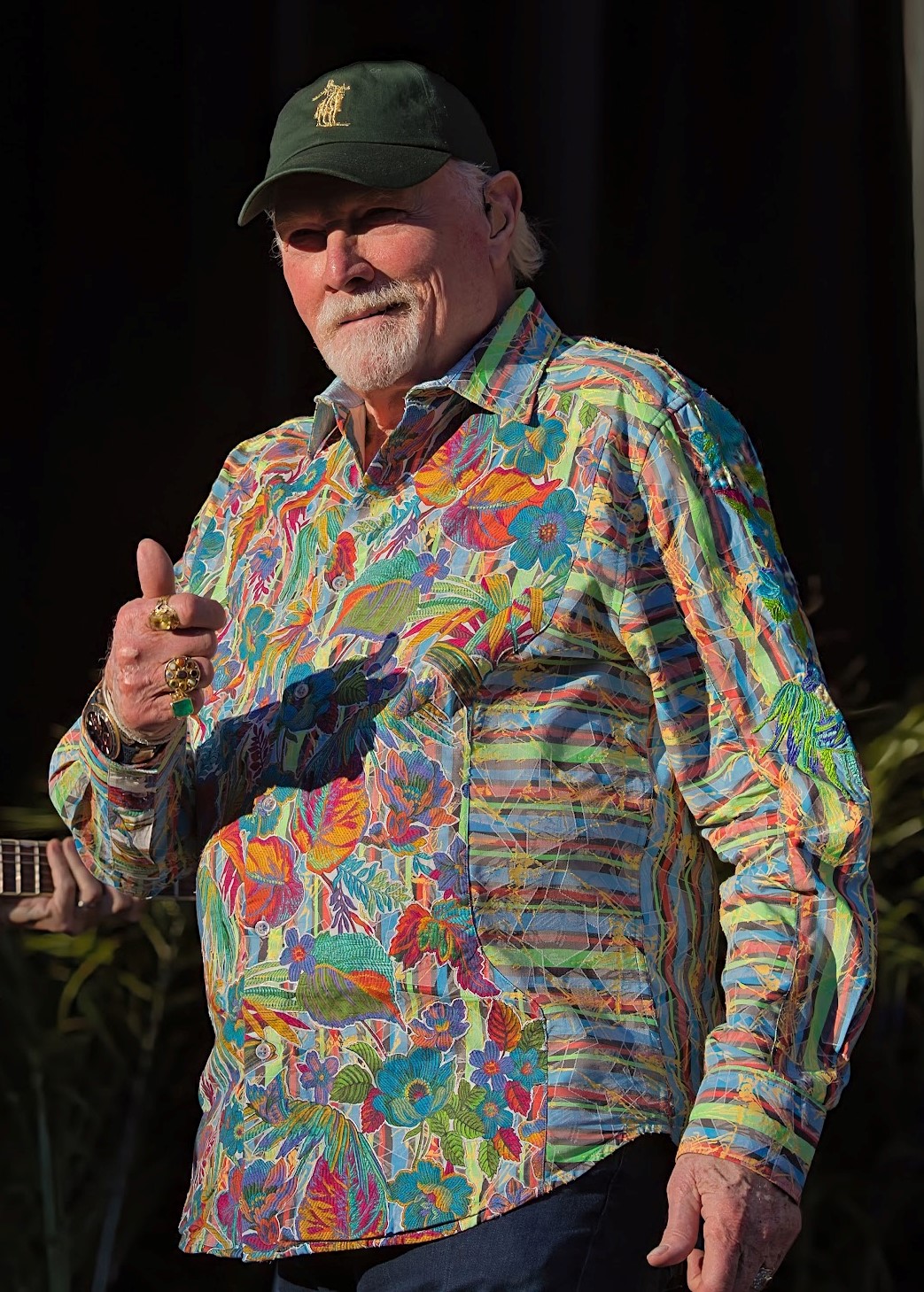 MIke Love | The Beach Boys