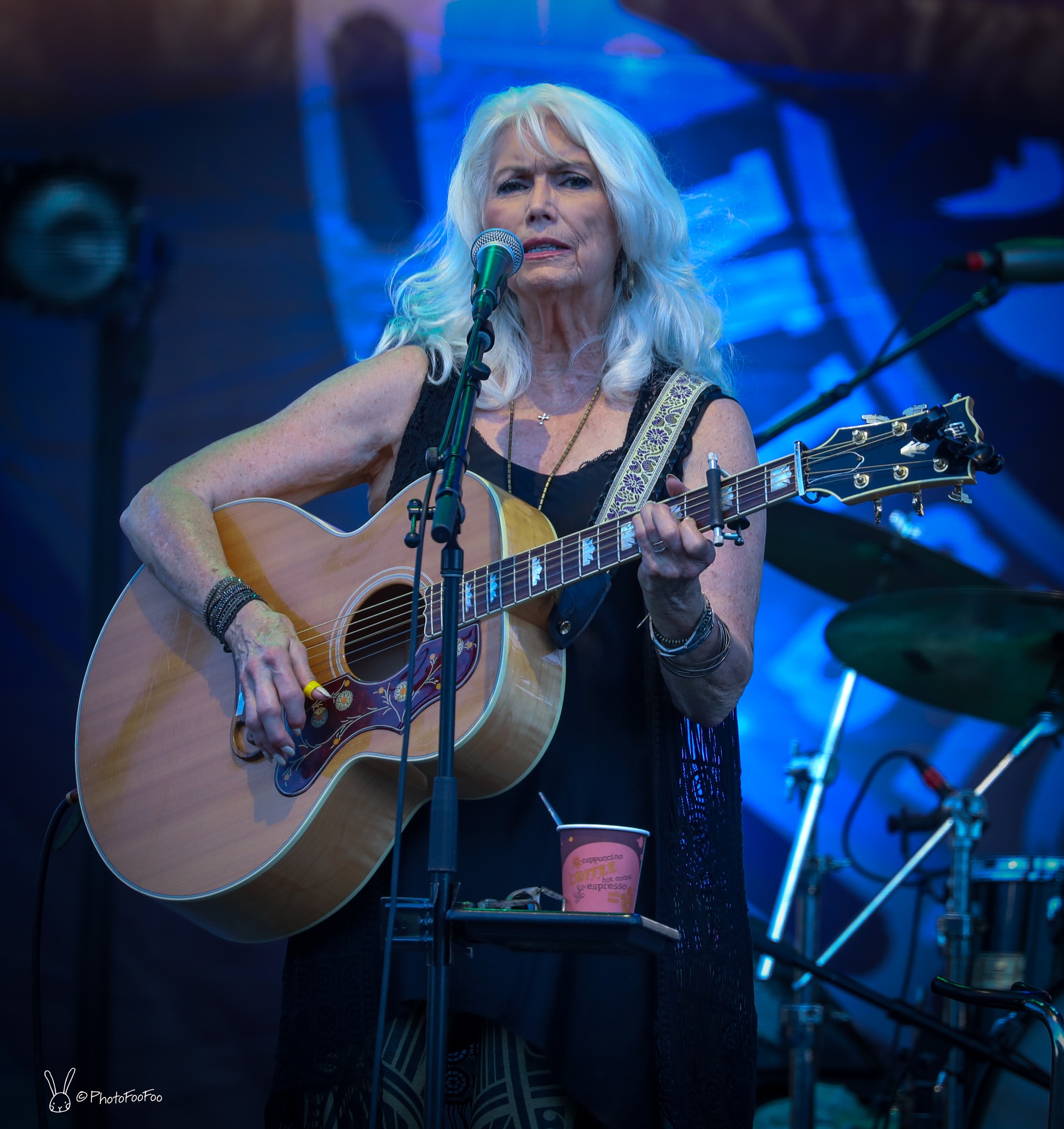 Emmylou Harris | Earl Scruggs Music Festival