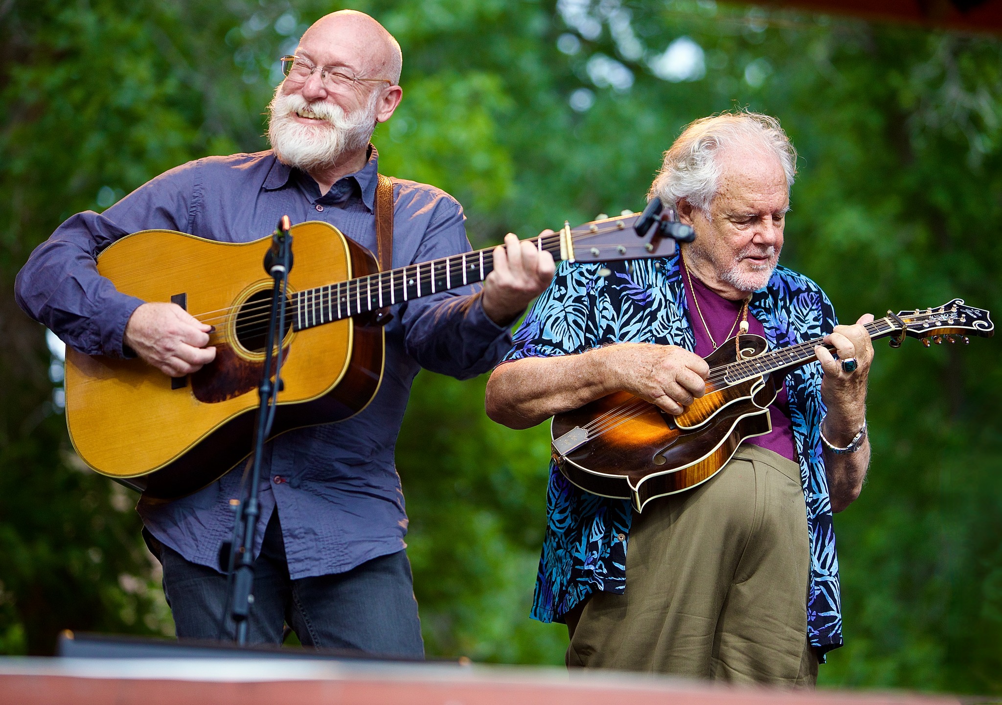 flat picker, David Grier & Peter Rowan