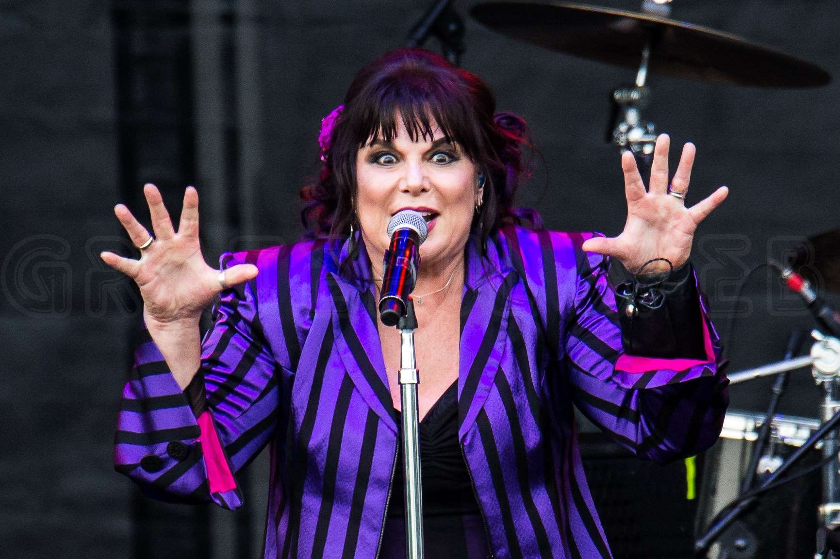 Ann Wilson | Northerly Island Park