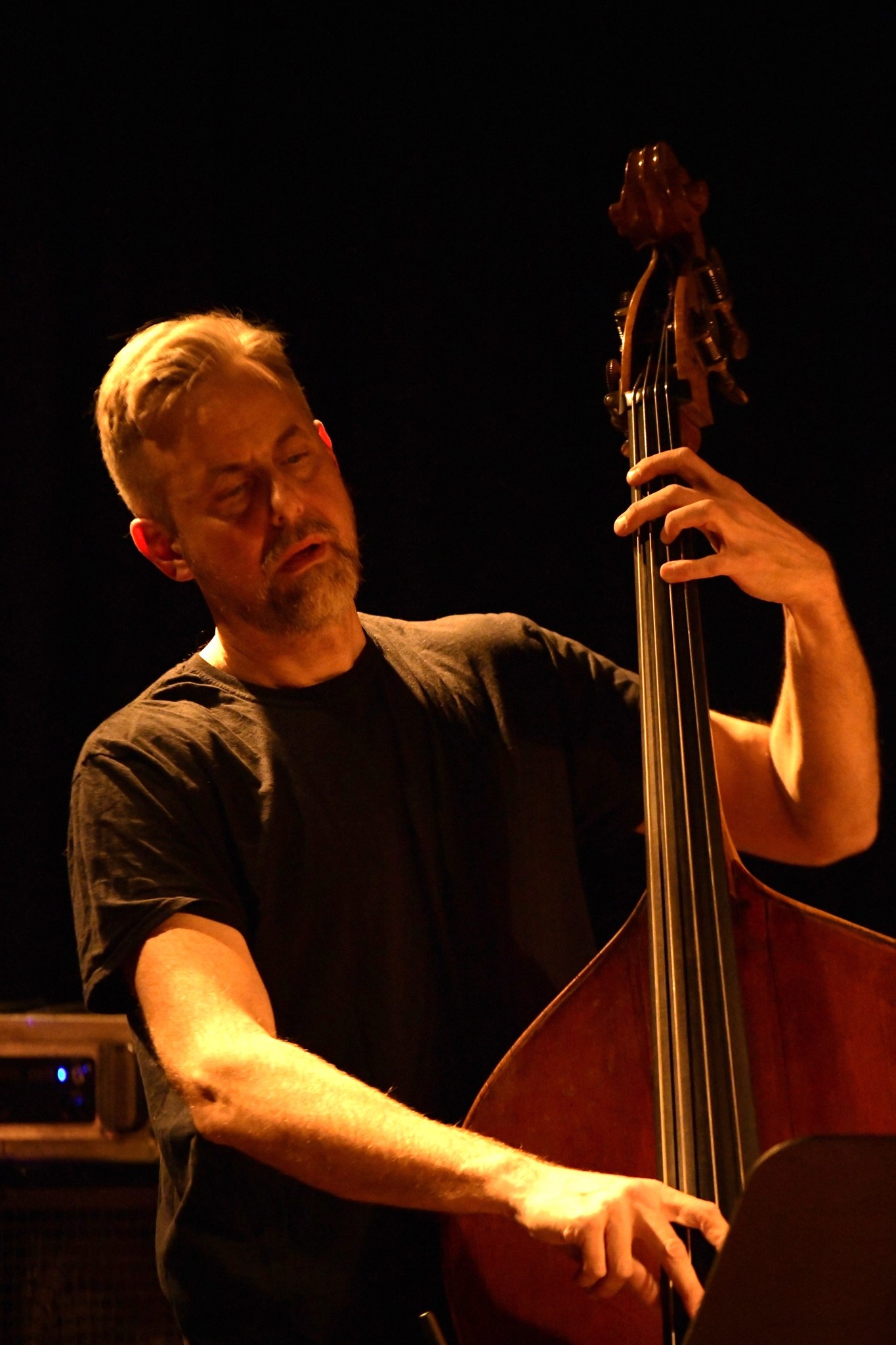 Chris Lightcap | Nels Cline Consentrik Quartet