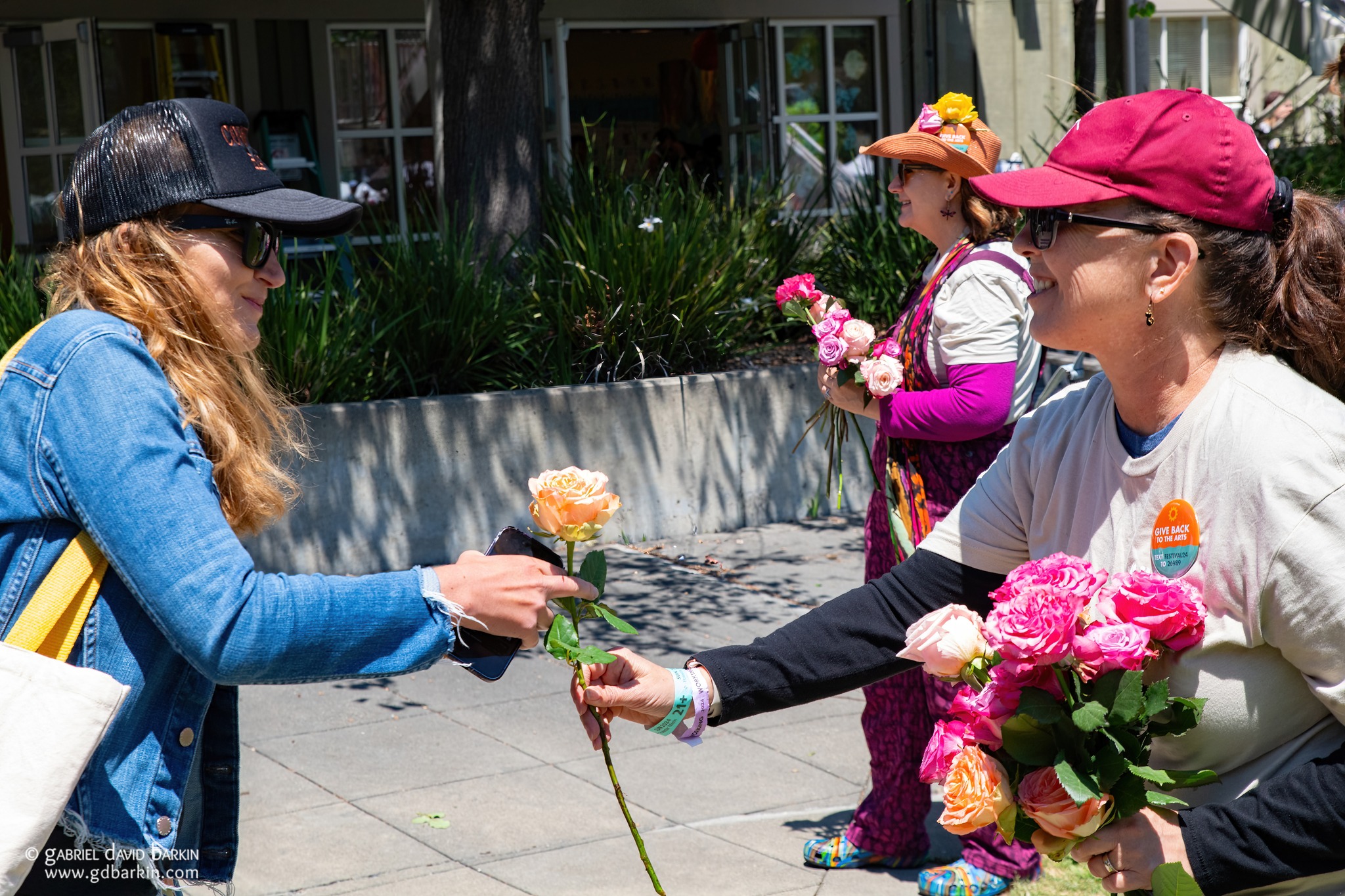 Mill Valley Music Festival | Mill Valley, CA