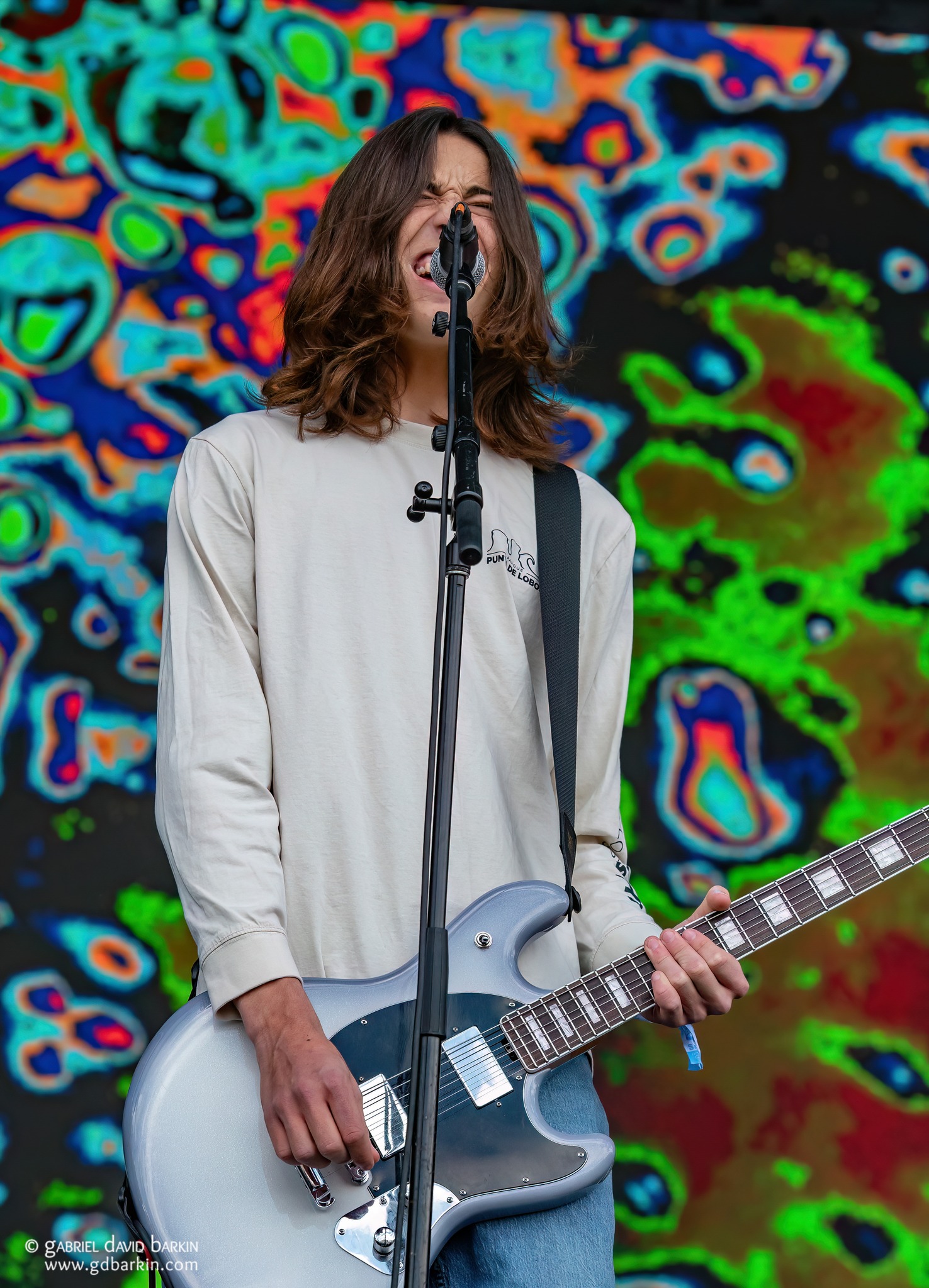 The Alive | BottleRock Napa Valley