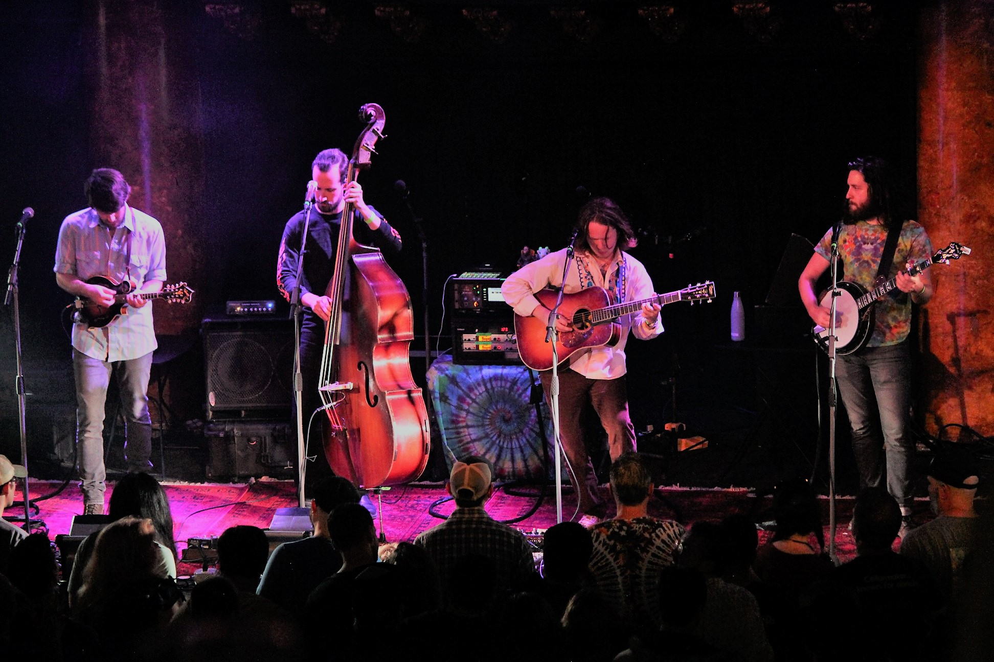 Billy Strings and his band | San Francisco, CA