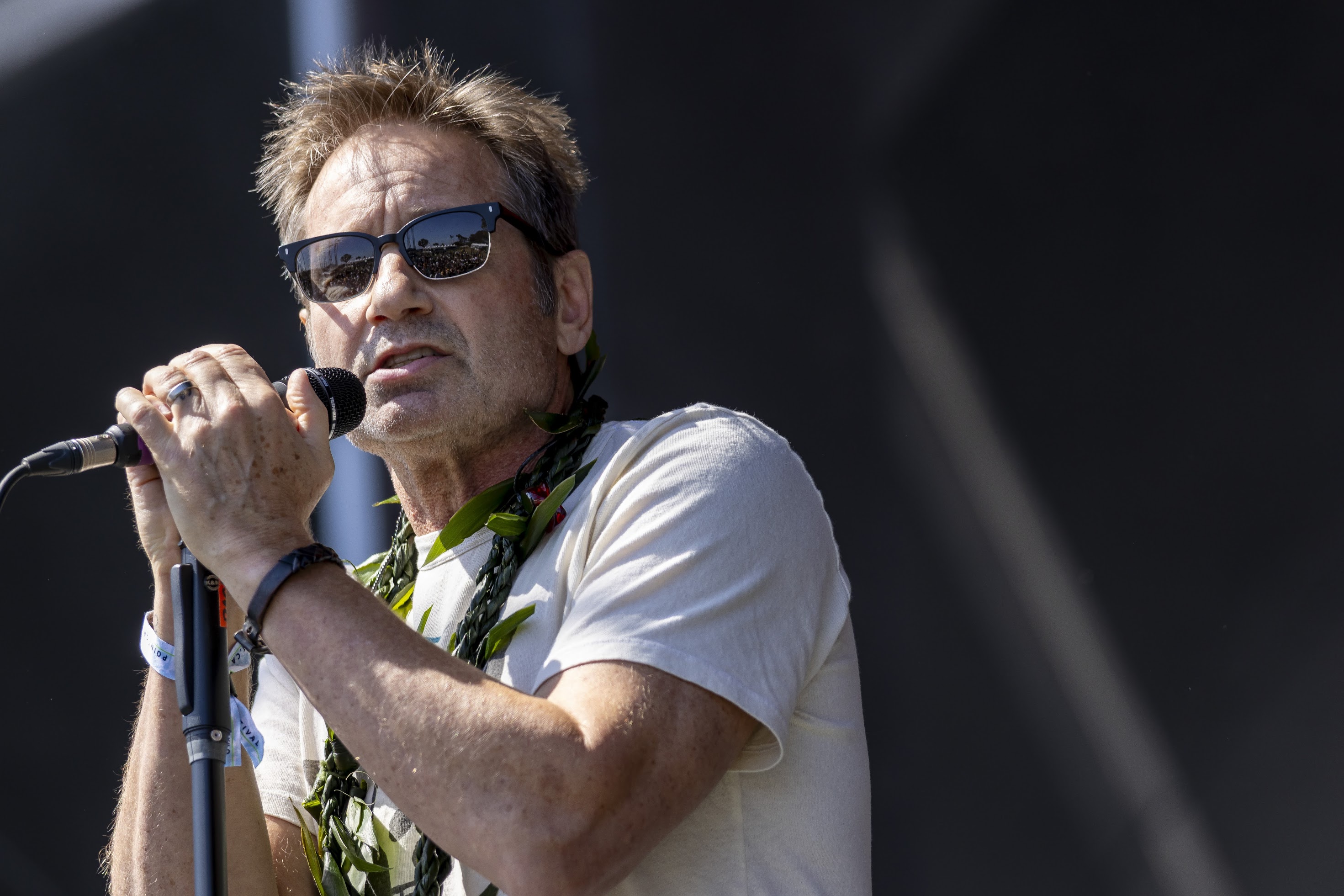 David Duchovny