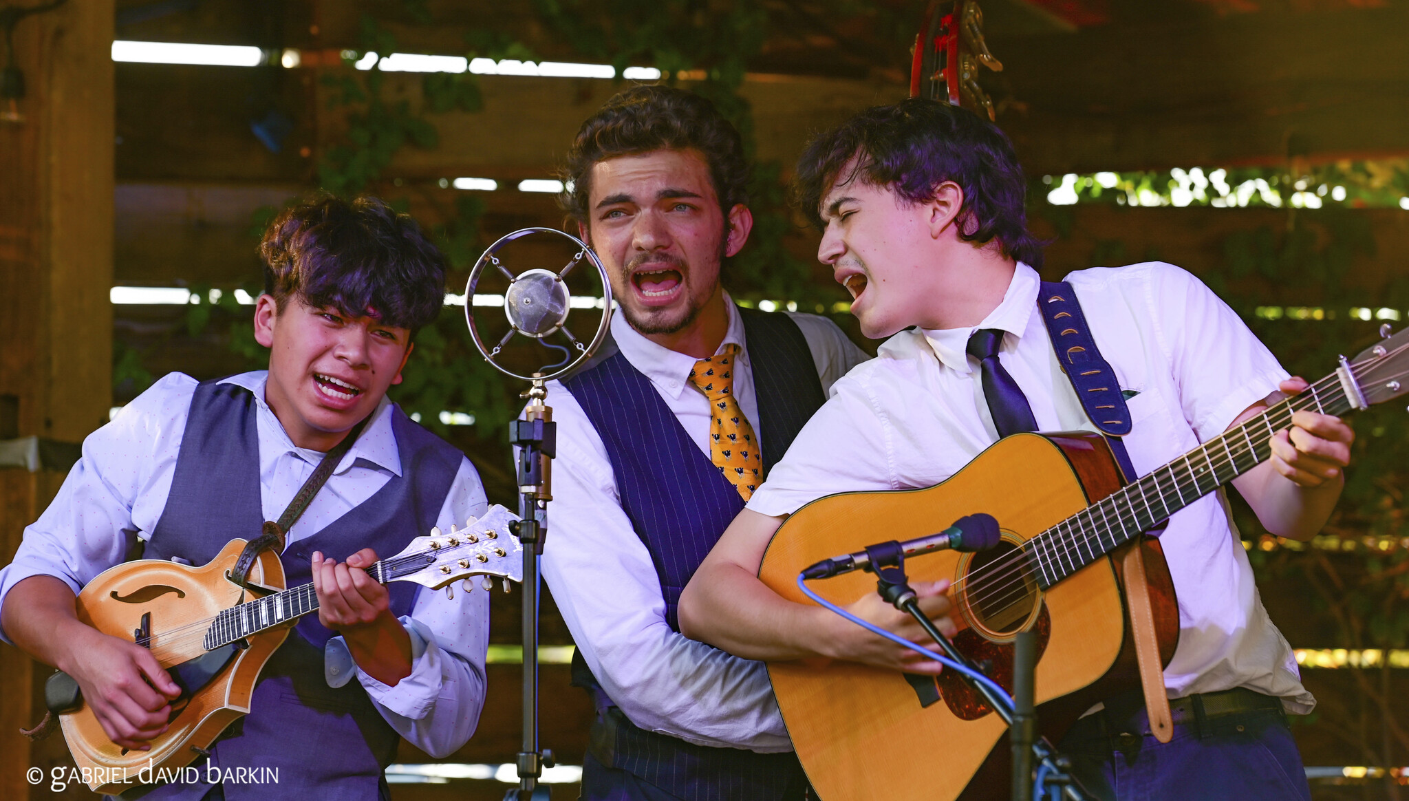 Crying Uncle Bluegrass Band | Novato, CA